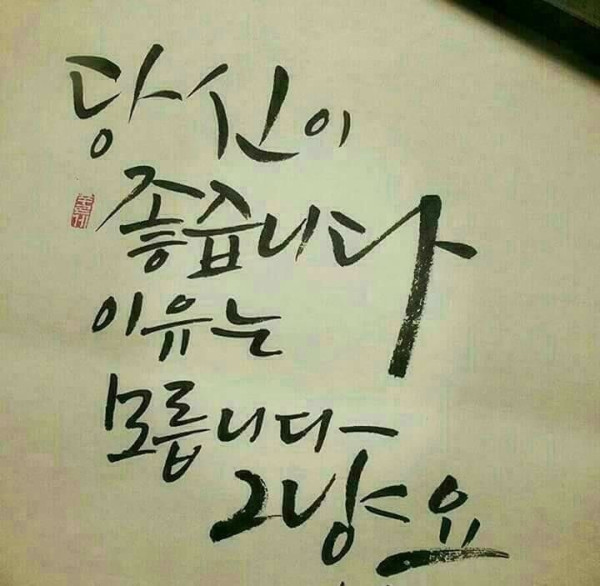 벨리 댄스 레전드 처자