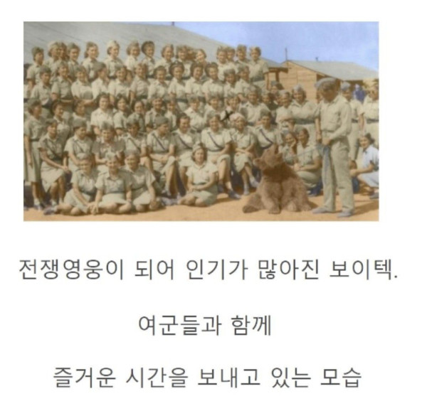 세계 최초 군인이었던 곰