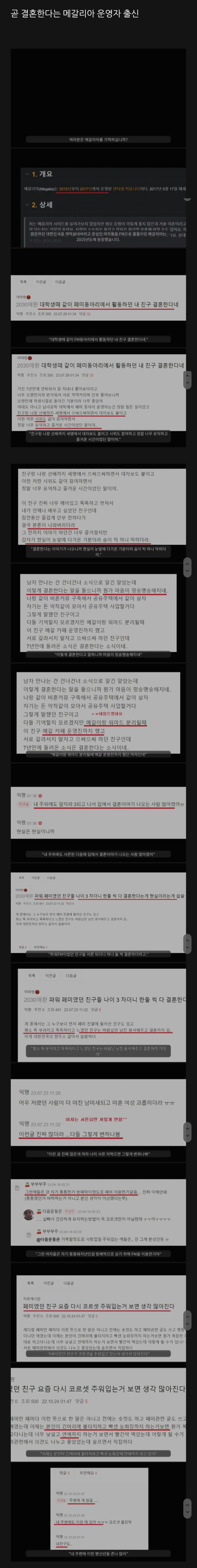 메갈대장 결혼